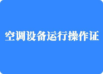 大屌艹嫩逼视频制冷工证